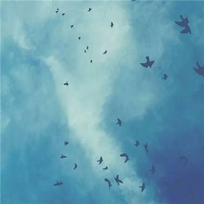 彩神下载手机版截图