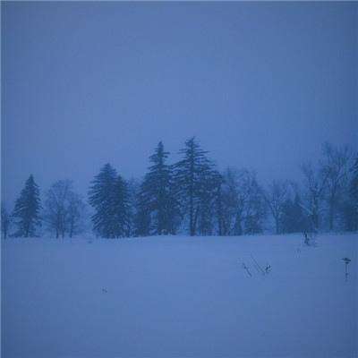 365平台下载下载手机版截图