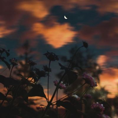 开元棋脾26888官方版最新版