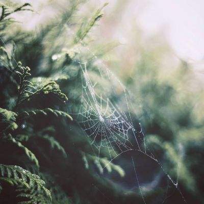 彩神下载手机版