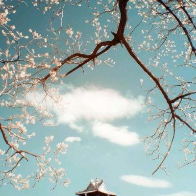 尊龙手机版下载