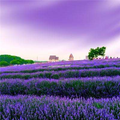 hth体育官方网站